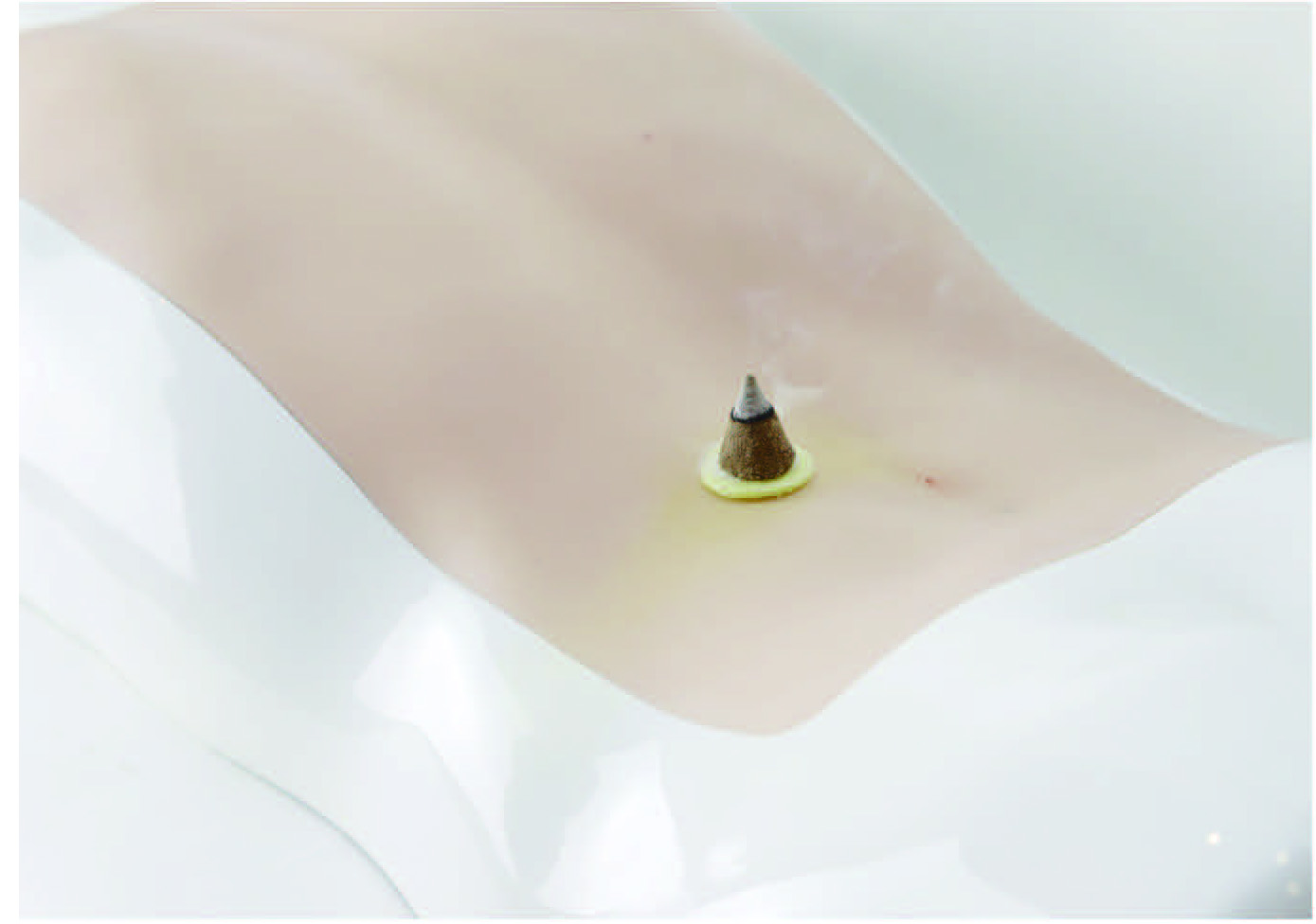 多功能中醫技能訓練及考核模型平臺 3.0