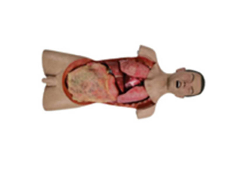 胸腹部損傷控制手術(shù)模擬人系統3.0