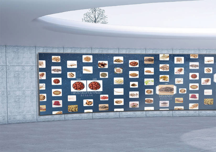 交互式中藥展示系統