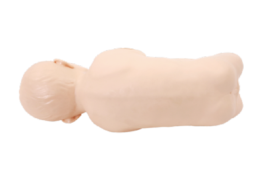 嬰兒腰穿模型