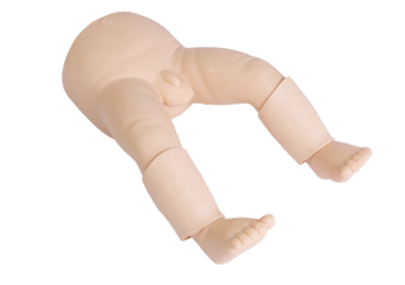 嬰兒骨內灌注模型