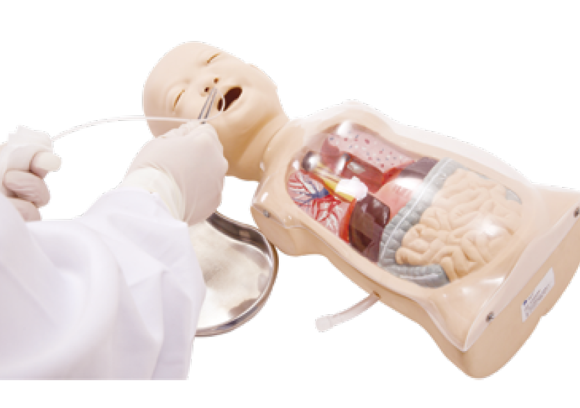 嬰兒透明洗胃示教模型